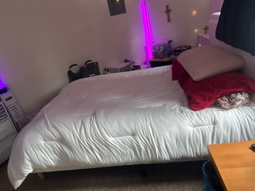 Review by Priscila R.